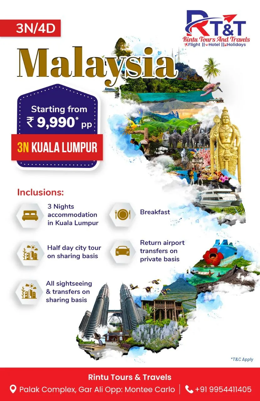 WhatsApp Image 2024-11-20 at 10.57.48 AM.webp